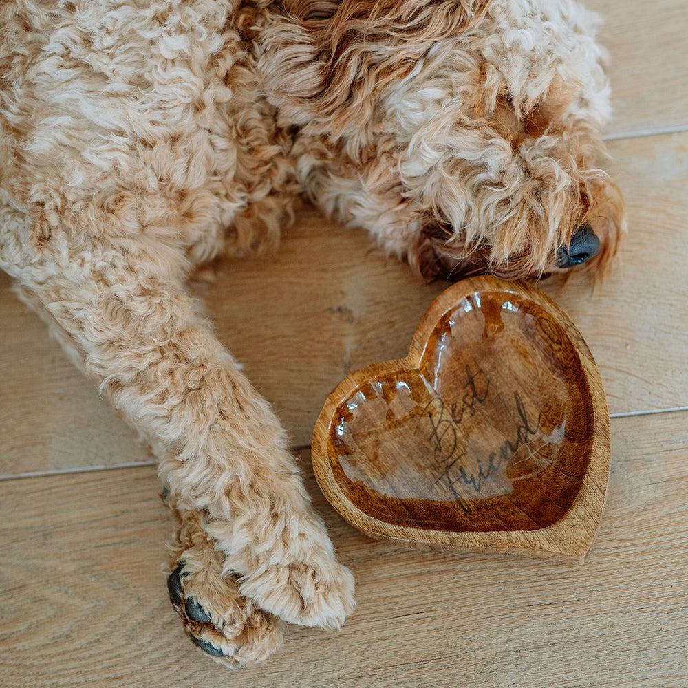 Holznapf ,,Best Friend" - handgefertigt aus Mangoholz