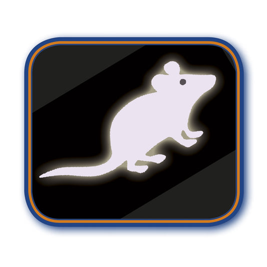 LED Pointer ,,Mouse"