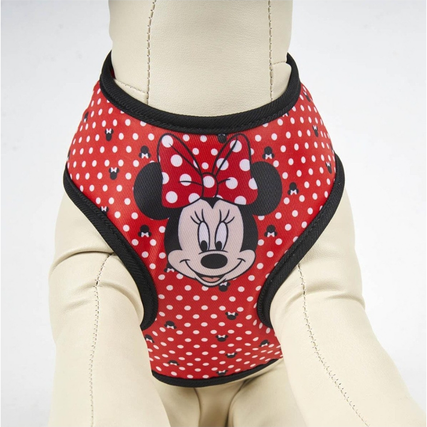 Disney Minnie Mouse Hundegeschirr – süß, bequem und einfach kultig 🎀🐾