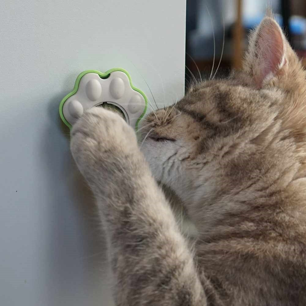 Catnipball ,,Paw" - Beschäftigungsspielzeug für Katzen